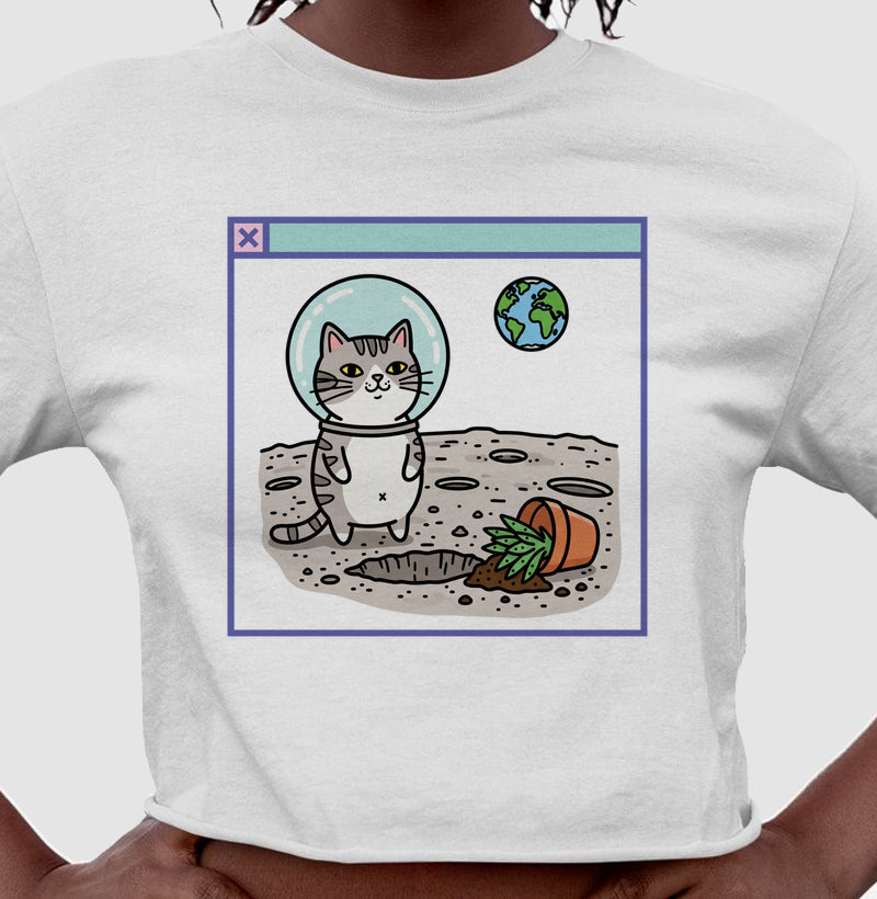 Travessura Lunar